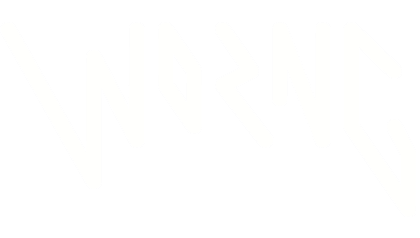 Worng Electronics logo