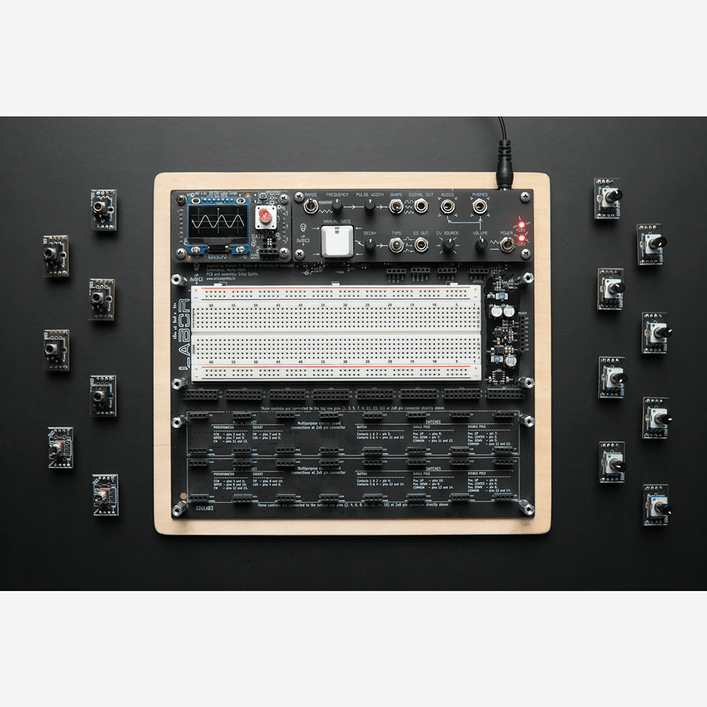 Erica Synths EDU DIY Labor Assembled