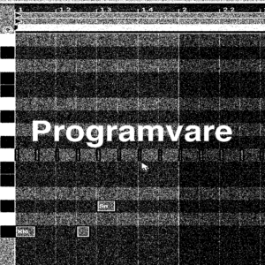 Programvare